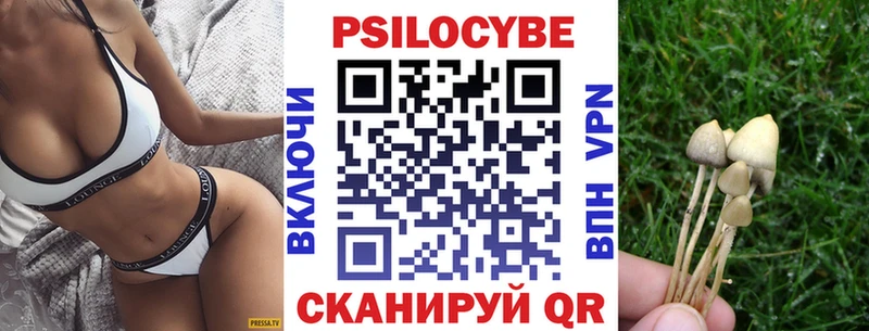 Псилоцибиновые грибы Cubensis закладки Томмот